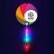 LED 응원부채(로고)부채